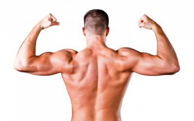 Broad Shoulders – All You Need to Know