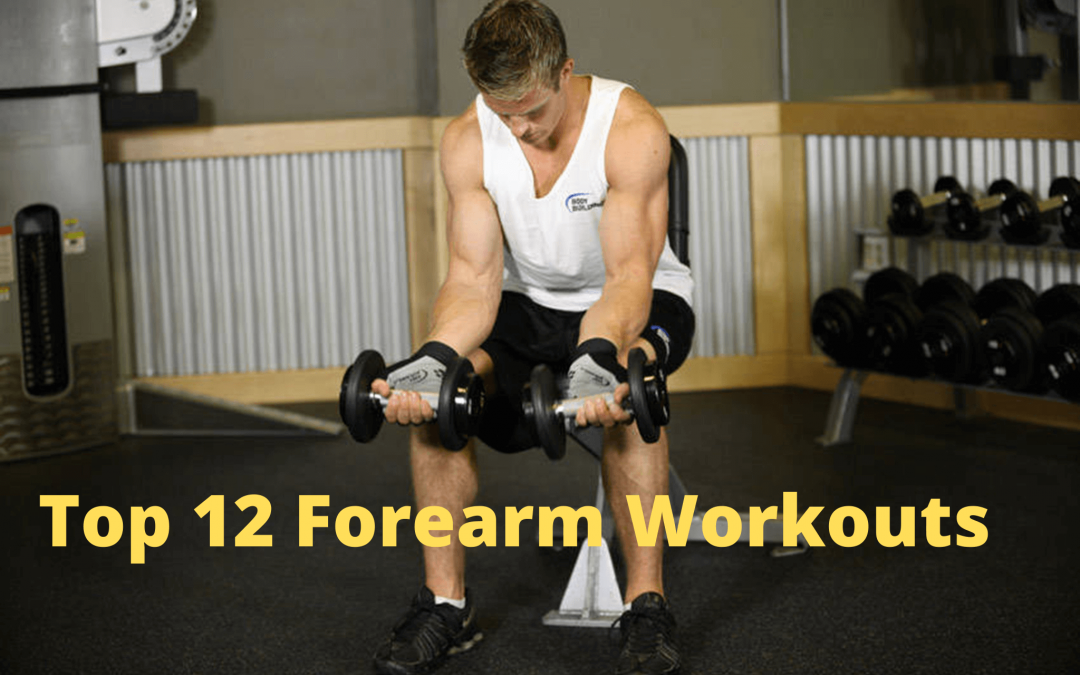 Top 12 Forearm Workouts to Make your Muscles Stronger