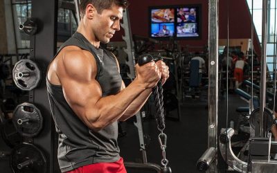 The Best Arm Workouts Knowing the Science Behind  