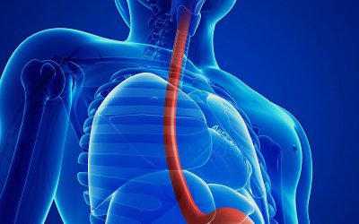 Esophagus Pain: Here’s What You Need to Know