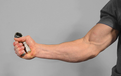 Does a hand gripper really add size to your forearms?